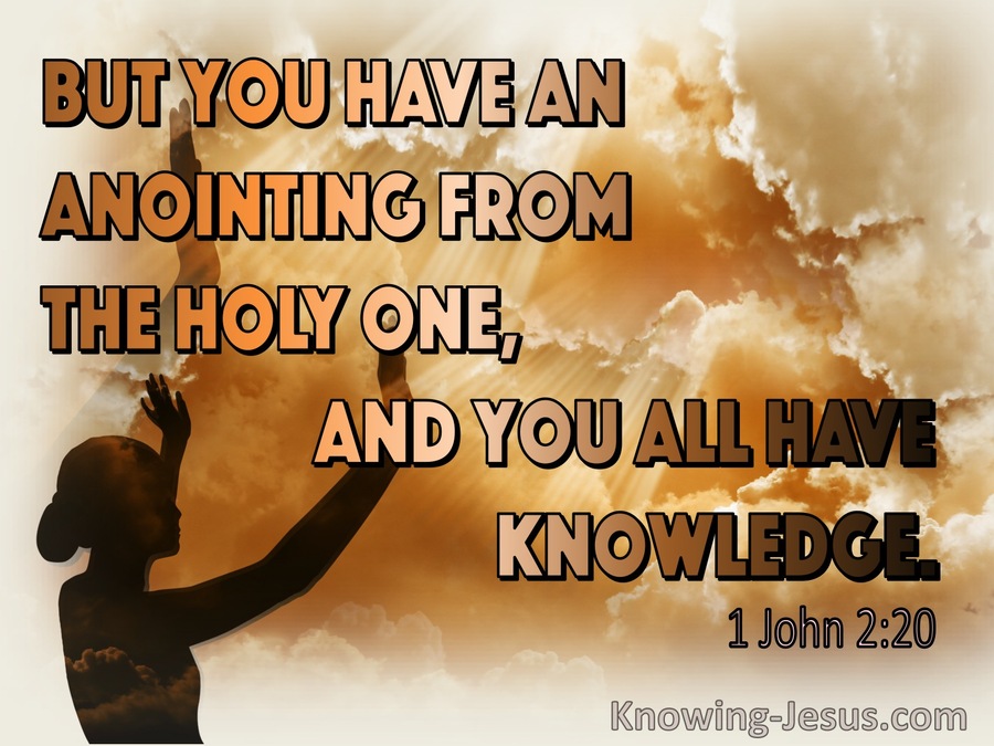 1 John 2:20 You Have An Anointing From The Holy One (orange)